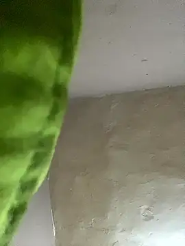 kwandero1234 online show from 01.12.26