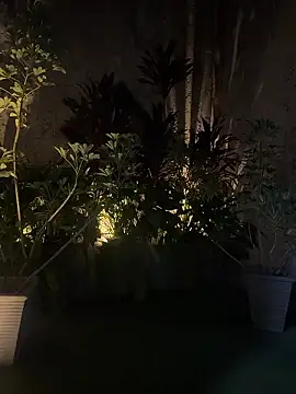 Snapshot of EmmaJhoons chatting on 01.18.26 EmmaJhoons online show from 01.18.26