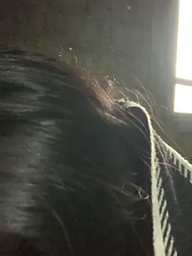 Naalyy online show from 03.13.26