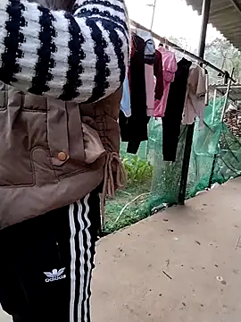 waaini99 online show from 01.13.26