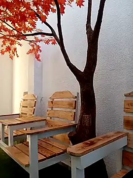 Dante Knox online show from 03.02.26