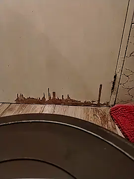 Gorditacarlota online show from 02.01.26