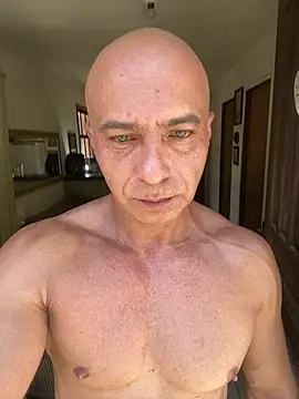 dogfrota online show from 02.05.26