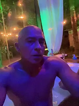 dogfrota online show from 02.06.26