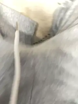 Snapshot of Bebun chatting on 01.17.26 Bebun online show from 01.17.26