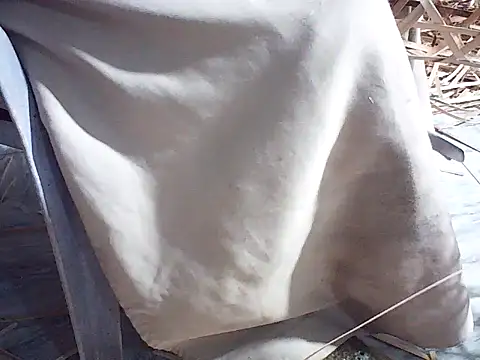 Futar8388 online show from 01.13.26