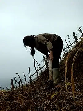 miumiu sexy2x online show from 04.01.26