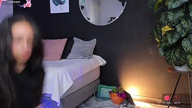 Noaah25  online show from 03.08.26