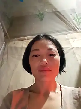 kotaka-shoow online show from 02.08.26