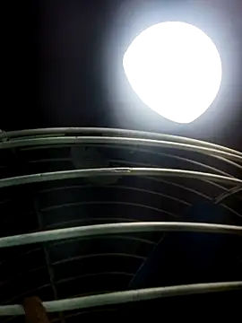 cutee Baby angel online show from 02.20.26