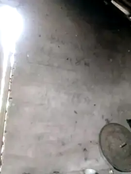 Gummiesu online show from 02.03.26