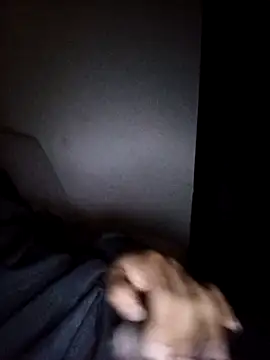 CorrectMusic2 online show from 02.11.26