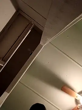 Snapshot of JoshingExegesis chatting on 03.01.26 JoshingExegesis online show from 03.01.26