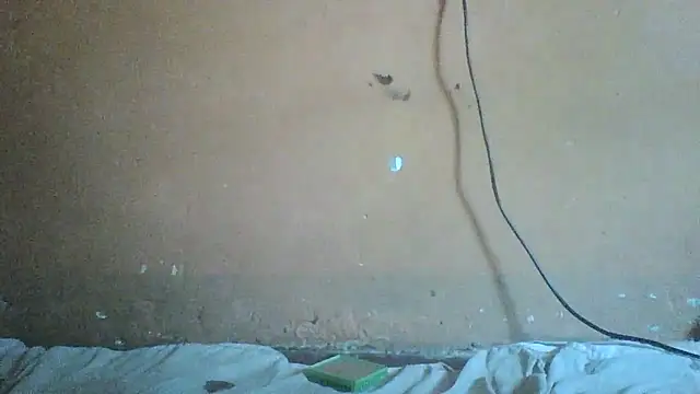 Sexyass100 online show from 04.17.26