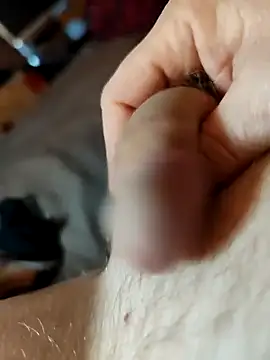 Halunja online show from 03.05.26