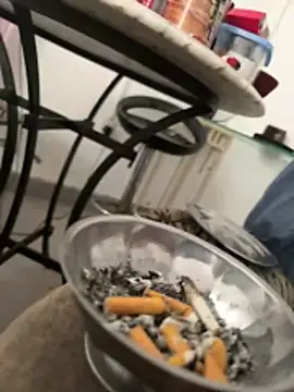 Snapshot of DieMitransarinos chatting on 03.31.26 DieMitransarinos online show from 03.31.26