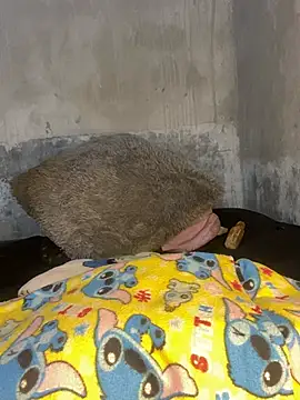 Snapshot of Iam_AlexandraRey chatting on 02.15.26 Iam AlexandraRey online show from 02.15.26