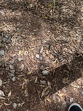 tyd247 online show from 02.22.26