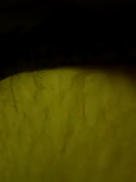 jajajaja322 online show from 02.02.26