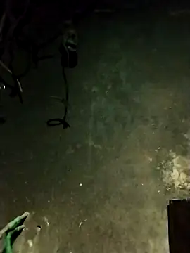 Snapshot of Hoa-tuylip chatting on 02.13.26 Hoa-tuylip online show from 02.13.26