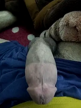 Snapshot of amirMohamed58 chatting on 02.23.26 amirMohamed58 online show from 02.23.26