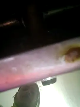 khushi rawat online show from 02.12.26