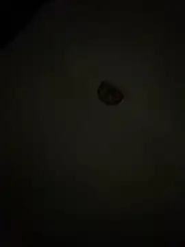 Diamanda12 online show from 03.01.26