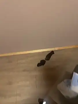 Snapshot of kin-y7 chatting on 02.07.26 kin-y7 online show from 02.07.26