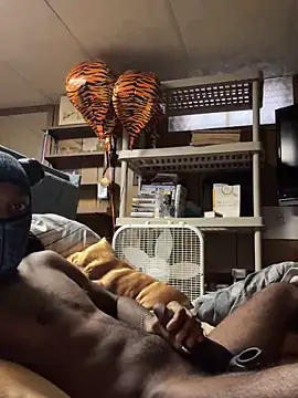 ProveYourLoyalty2 online show from 04.02.26