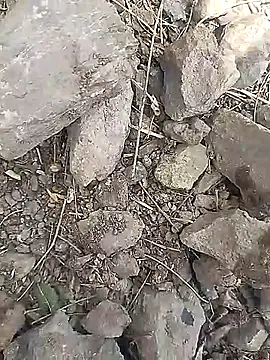 Cute Boy 4 online show from 03.30.26