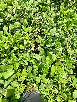 Cute Boy 4 online show from 04.09.26