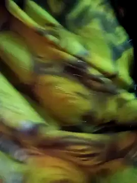 Muskan44s online show from 02.17.26