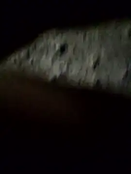 crazyxy12 online show from 02.08.26