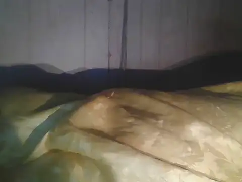 Prikev38452 online show from 04.11.26