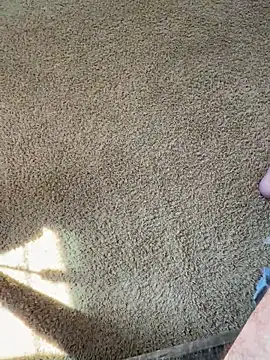 Snapshot of bwcjay2026 chatting on 03.16.26 bwcjay2026 online show from 03.16.26