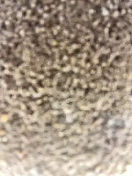 Snapshot of Namipeitudinha chatting on 02.16.26 Namipeitudinha online show from 02.16.26