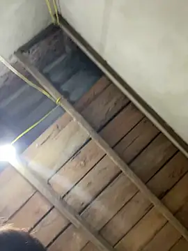 2b-xx online show from 03.04.26