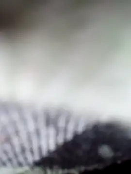 Sexy-Sony770 online show from 02.07.26