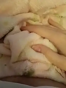 CutxeFrench online show from 03.02.26