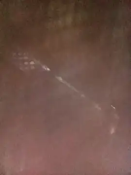 Dunk-namic online show from 04.04.26