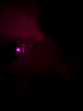 Snapshot of Raj_teluguboy chatting on 03.06.26 Raj teluguboy online show from 03.06.26