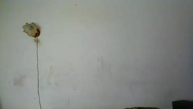 NickiKisinger online show from 05.16.26