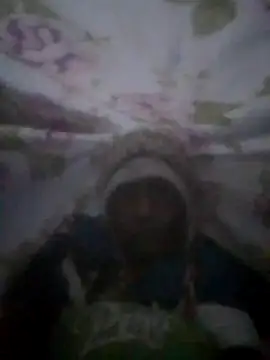 S7LEALTADPERVLIMA7 online show from 06.14.26