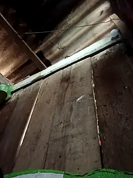 Small flower1 online show from 02.10.26