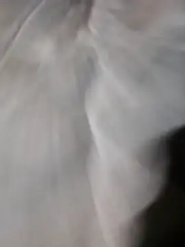 poke90201 online show from 03.22.26