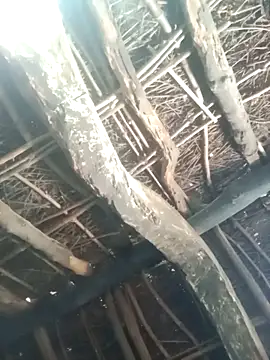 Manu mehta online show from 03.31.26