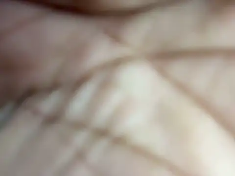 torchermachine online show from 04.23.26