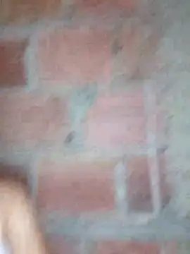 lachiki plus online show from 03.24.26