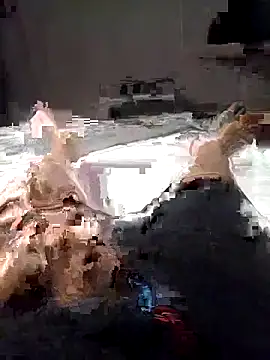 Snapshot of Al-Hari chatting on 02.04.26 Al-Hari online show from 02.04.26