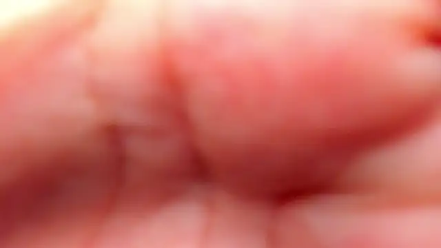 Snapshot of RinaFox__ chatting on 02.21.26 RinaFox online show from 02.21.26